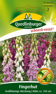 Fingerhut Großblumige Mischung