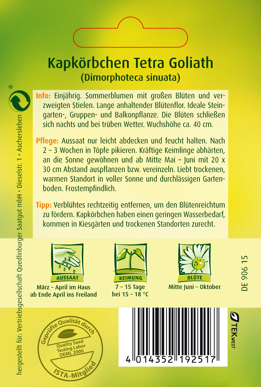 Kapkörbchen Tetra Goliath