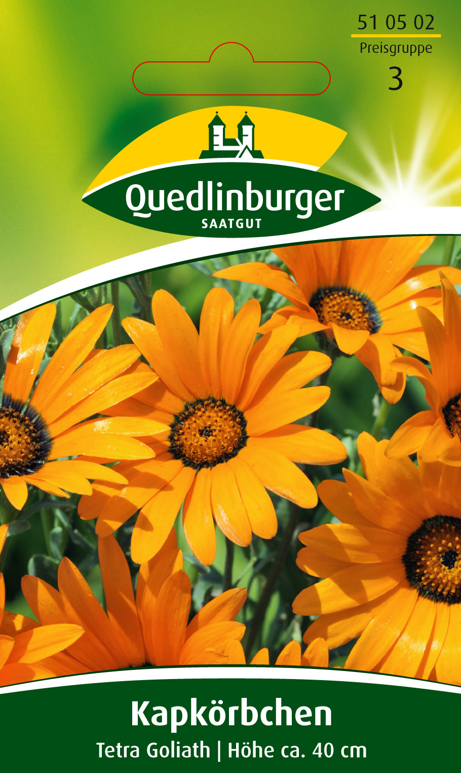 Kapkörbchen Tetra Goliath