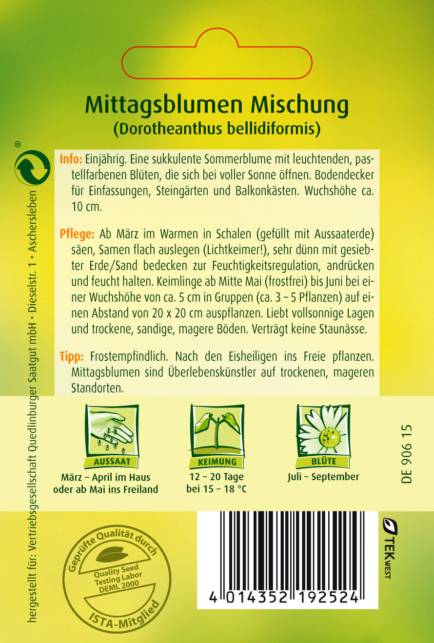 Mittagsblume Mischung