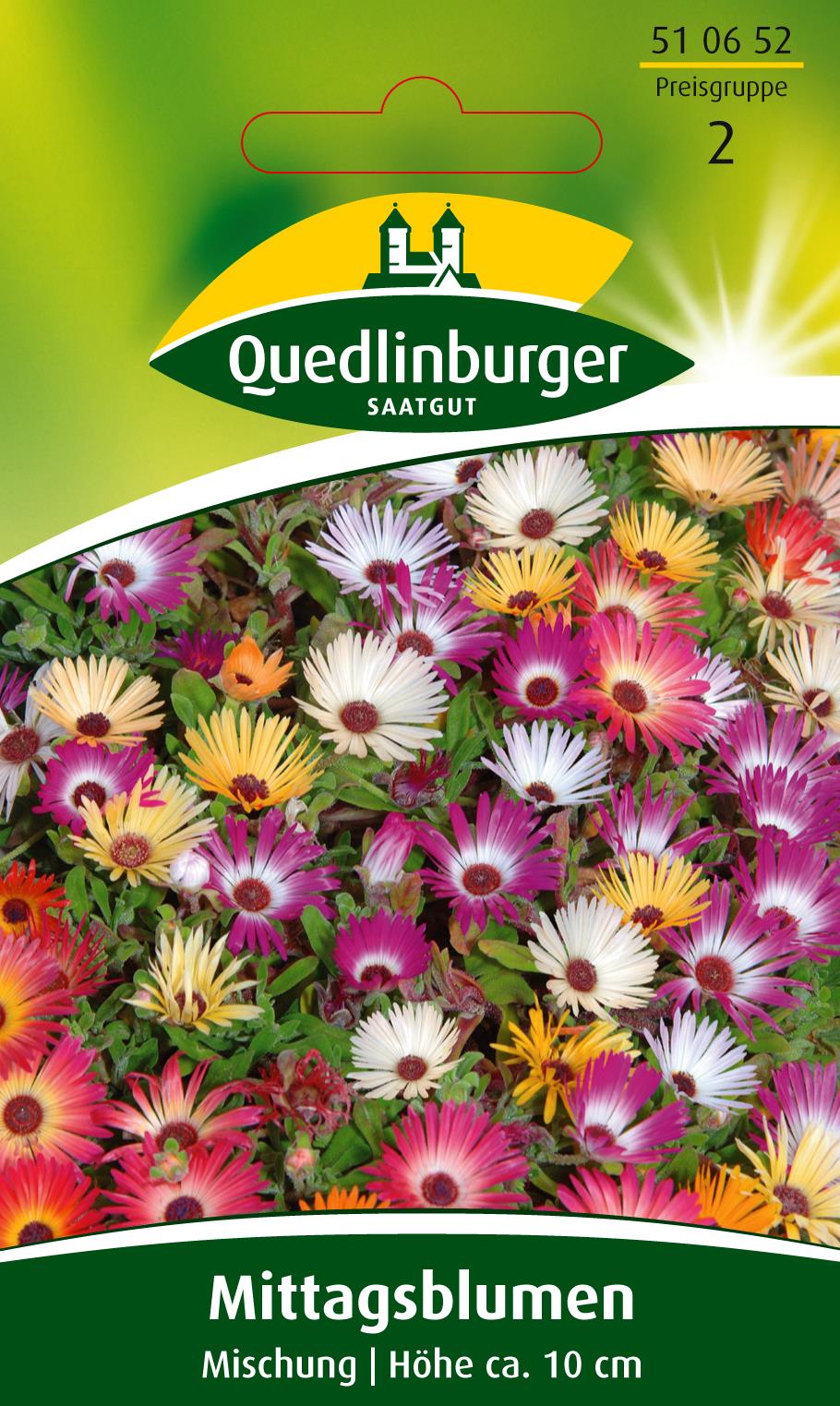 Mittagsblume Mischung