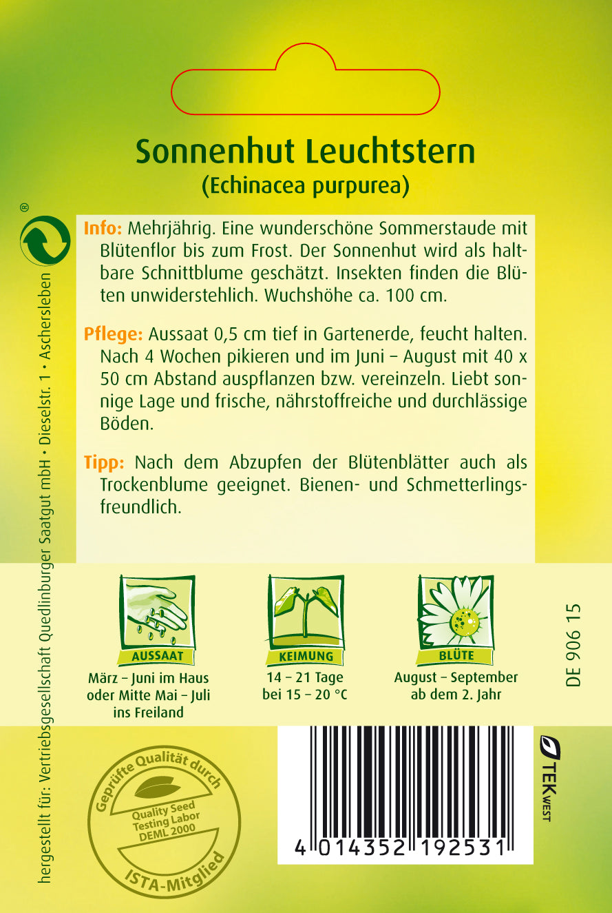 Sonnenhut Leuchtstern