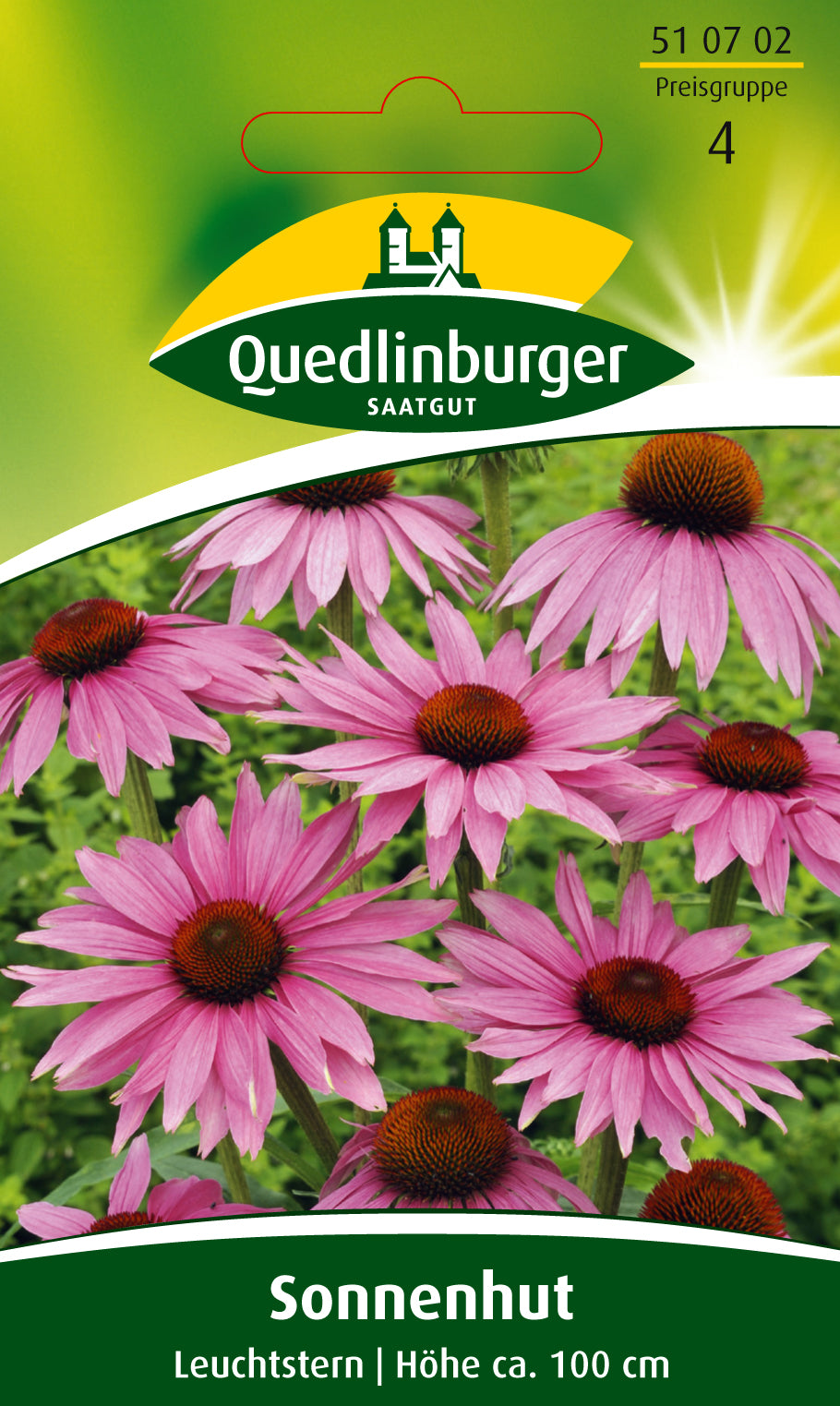 Sonnenhut Leuchtstern