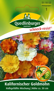 Kalifornischer Gold-Mohn halbgefüllte Mischung