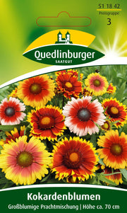 Kokardenblume Großblumige Mischung
