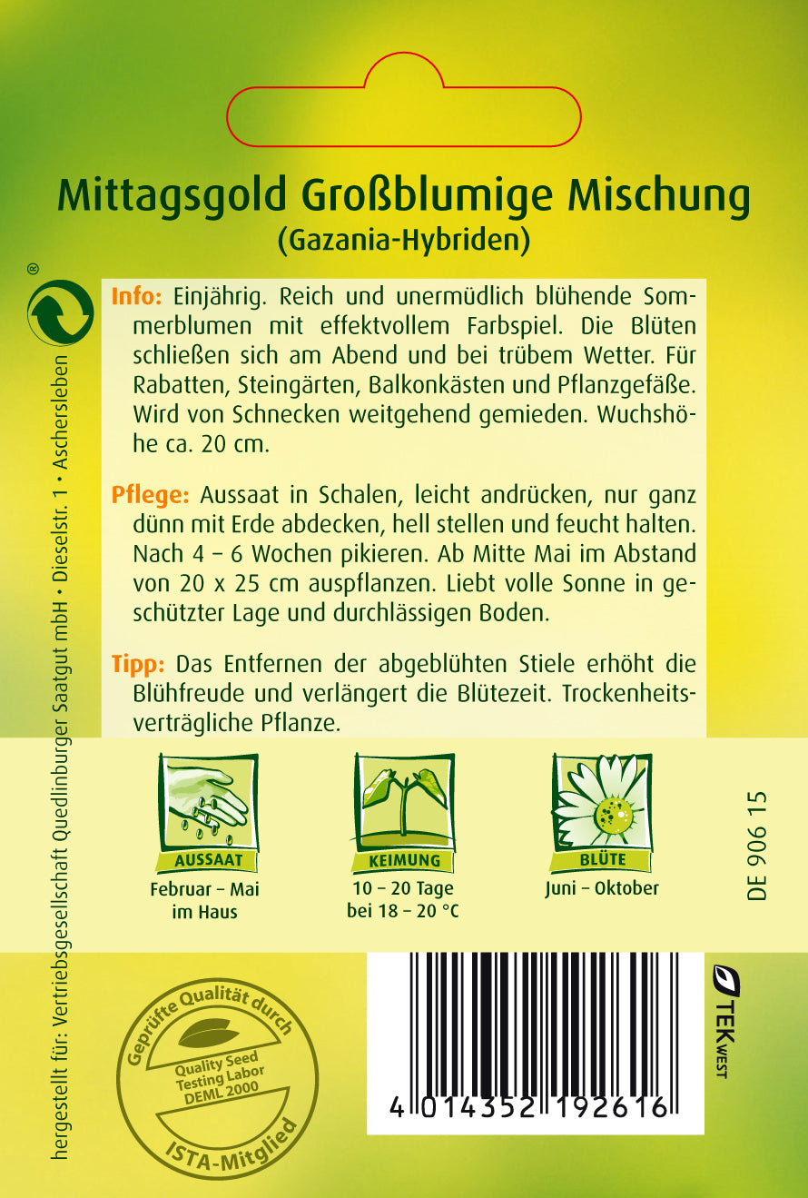 Mittagsgold Großblumige Mischung