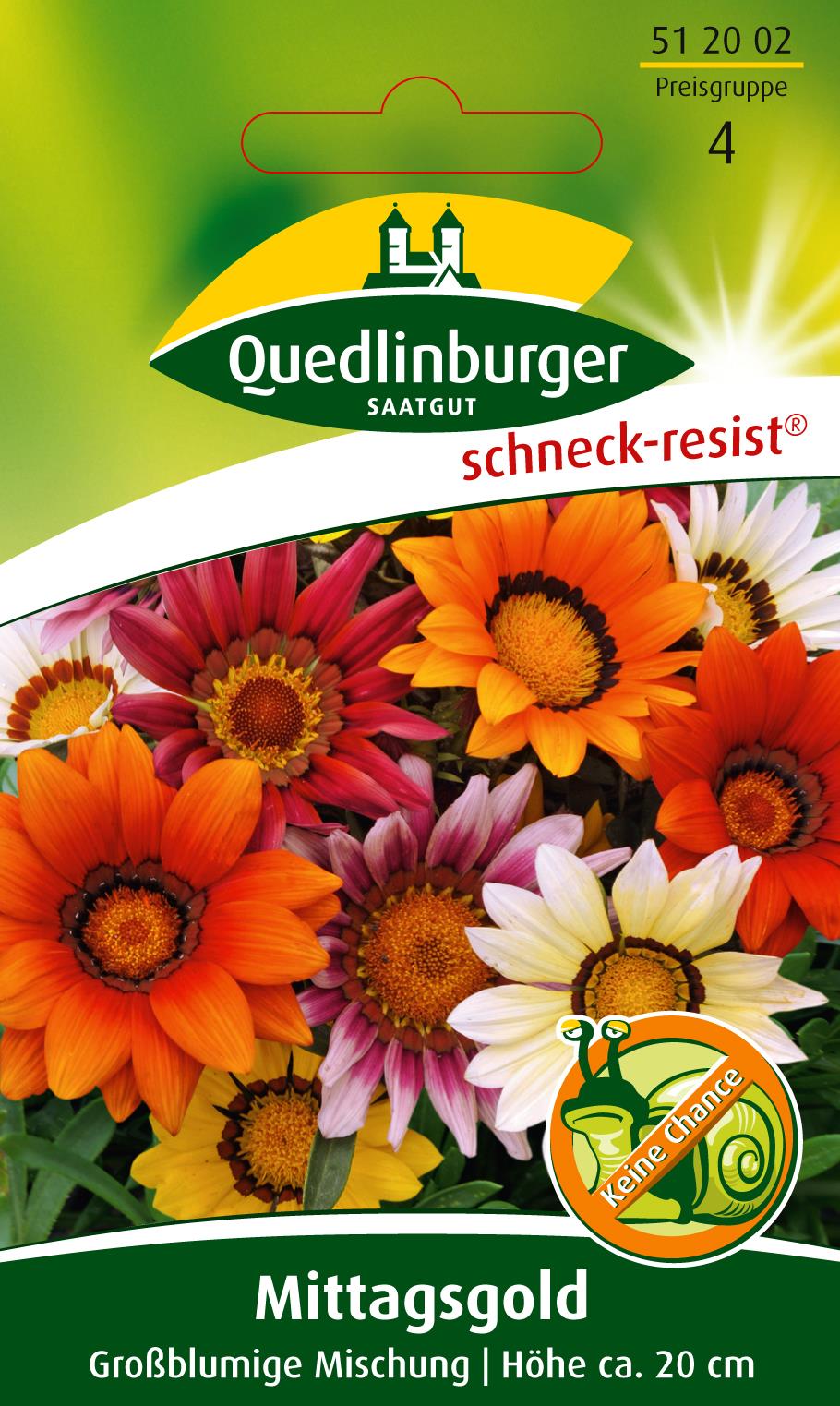 Mittagsgold Großblumige Mischung