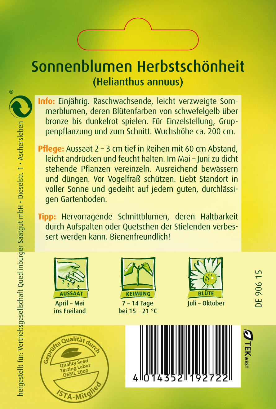 Sonnenblumen Herbstschönheit