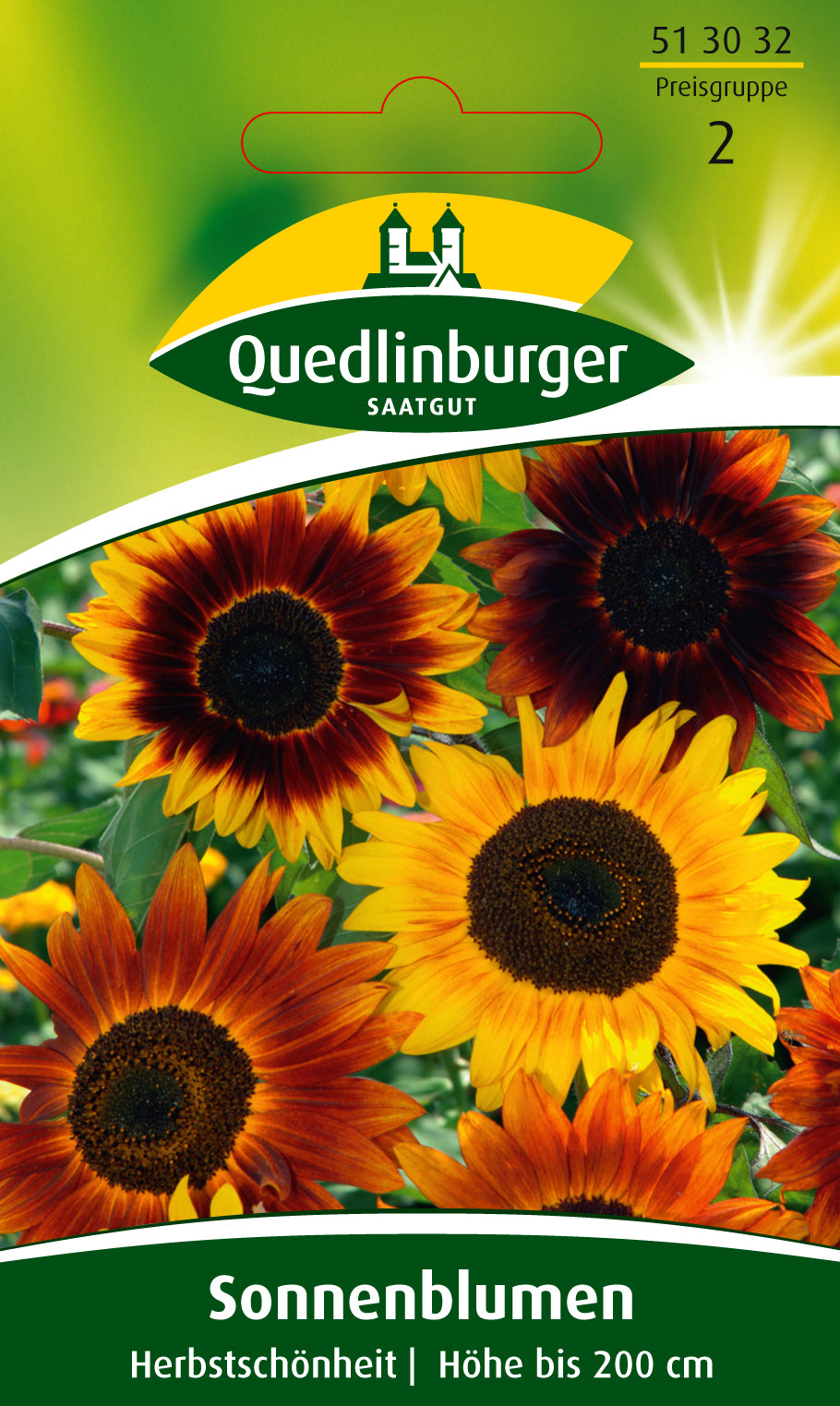 Sonnenblumen Herbstschönheit