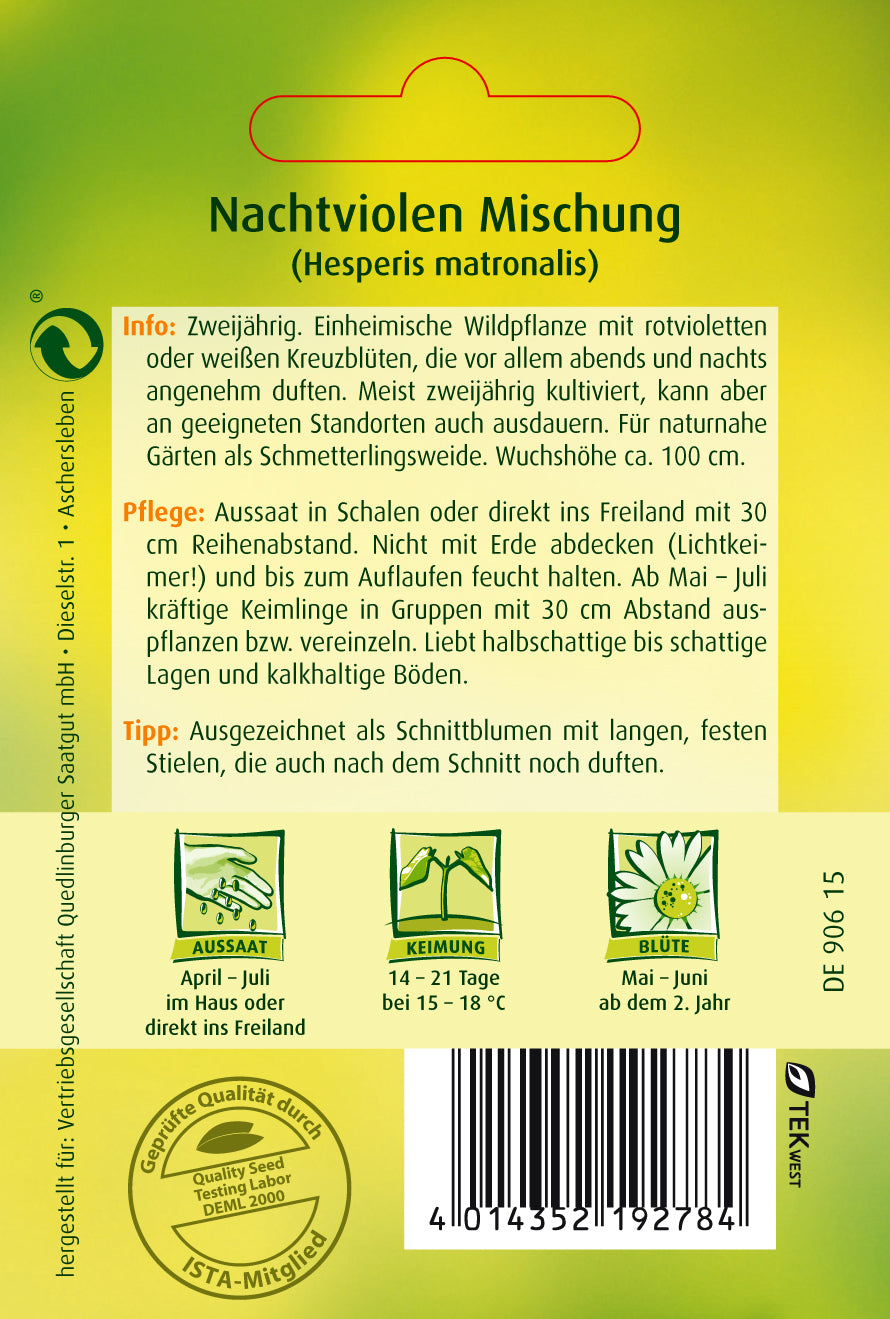 Nachtviole Mischung