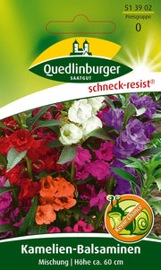 Kamelien-Balsamine Mischung