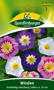 Winde dreifarbige Mischung