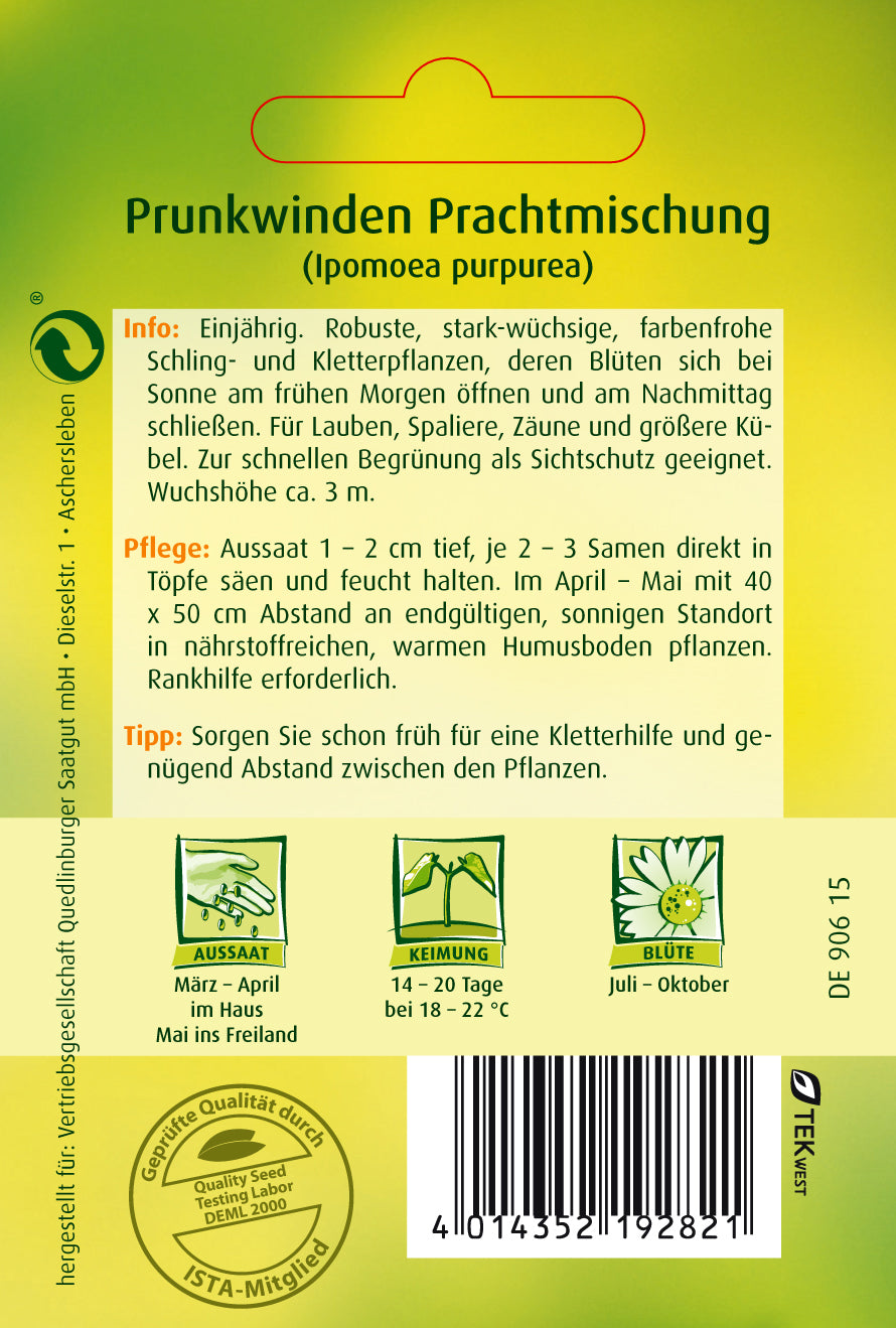 Prunk-Winde Prachtmischung