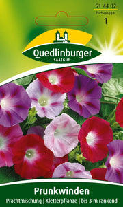 Prunk-Winde Prachtmischung