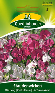 Stauden-Wicken Mischung