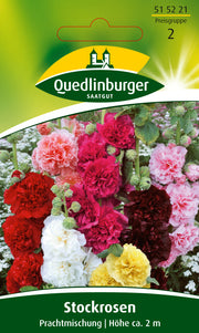 Stockrosen Prachtmischung