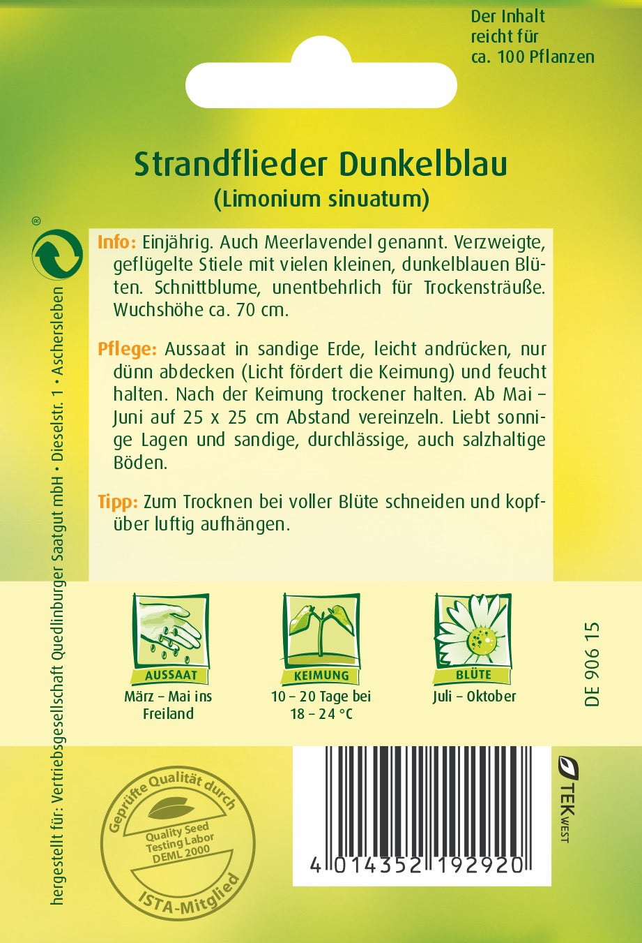 Strandflieder Dunkelblau
