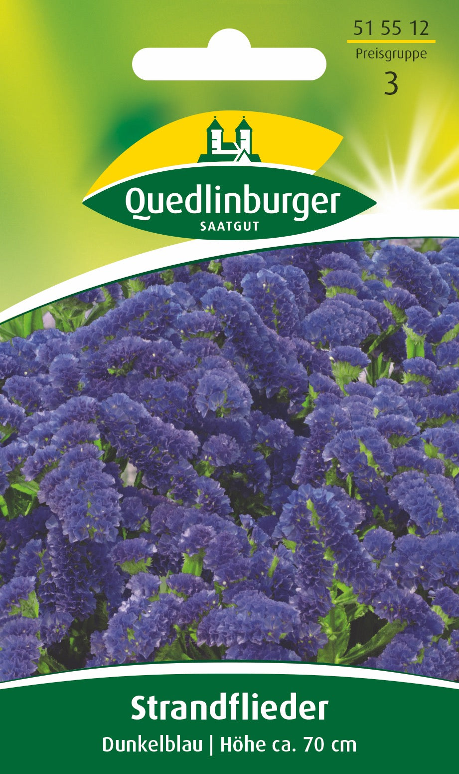 Strandflieder Dunkelblau