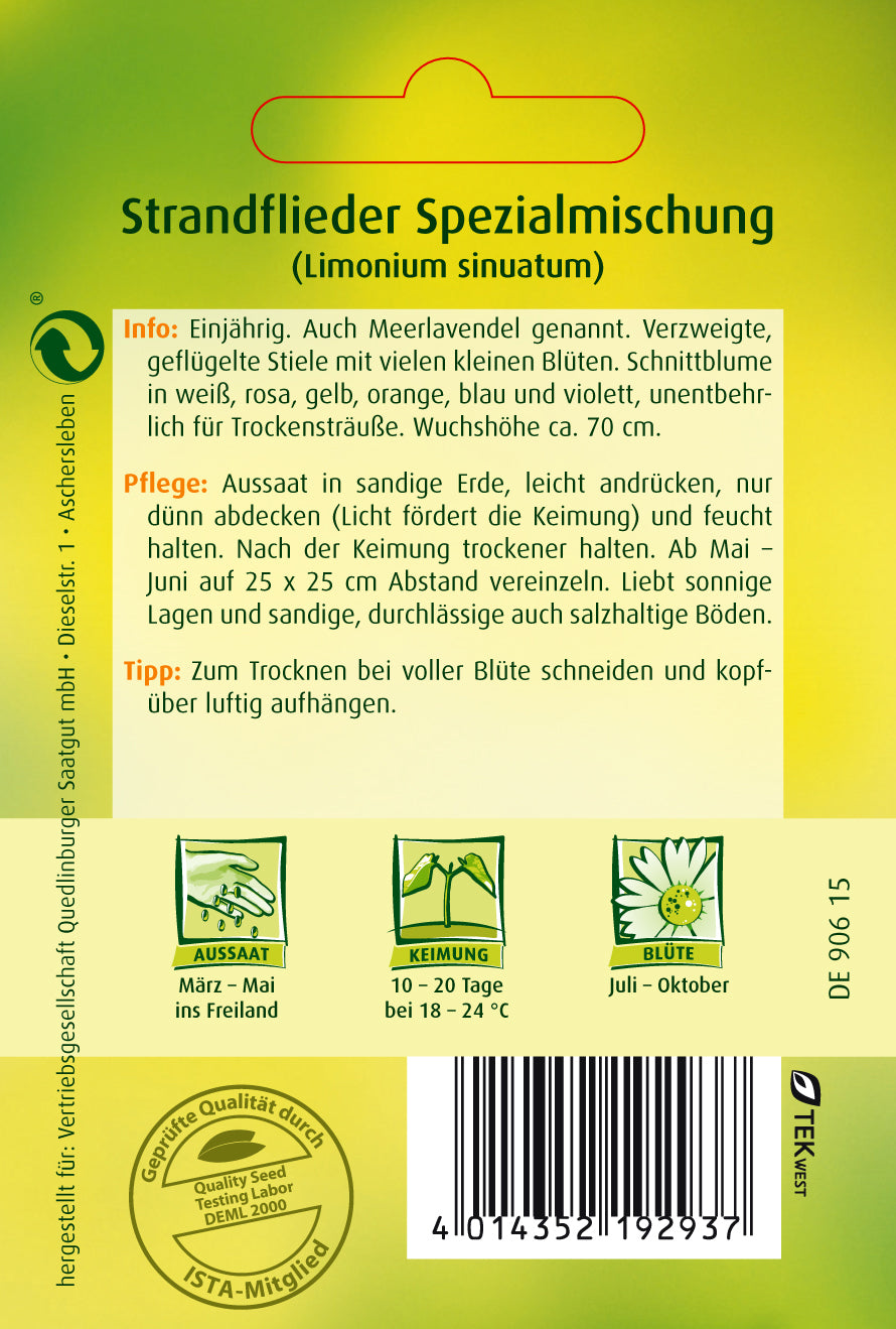 Strandflieder Spezialmischung