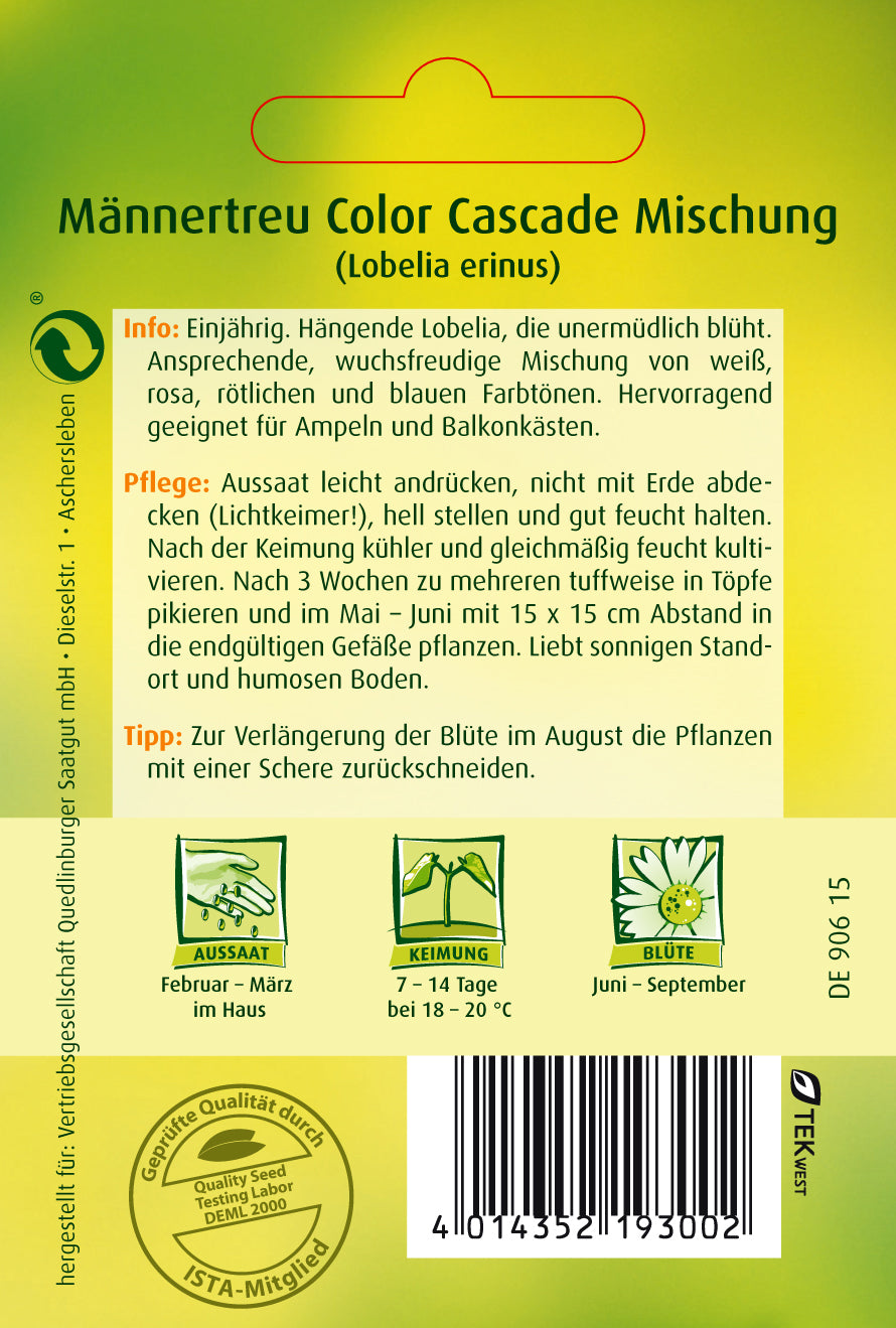 Männertreu Color Cascade Mischung