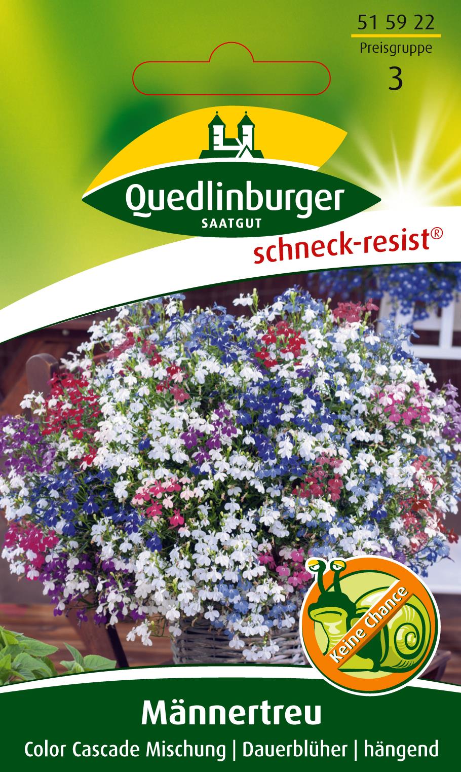 Männertreu Color Cascade Mischung