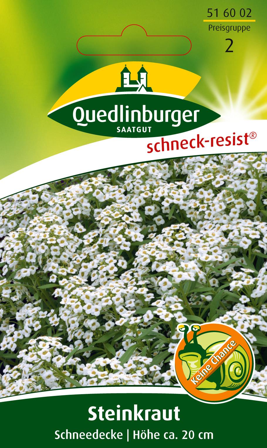 Steinkraut Schneedecke