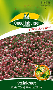 Steinkraut Rosie O'Day