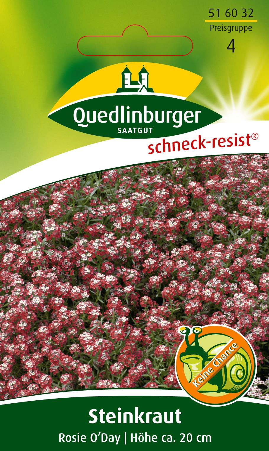 Steinkraut Rosie O'Day