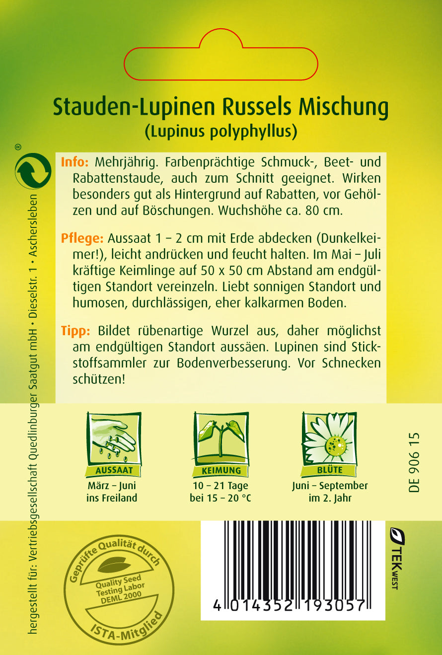 Stauden-Lupine Russels Mischung