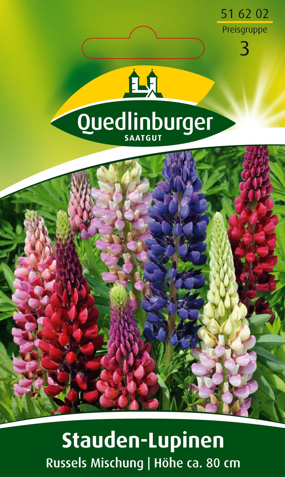Stauden-Lupine Russels Mischung