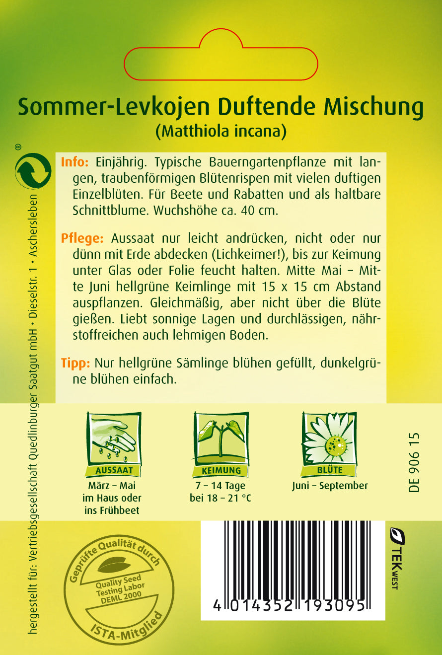 Sommer-Levkojen Frühe hohe Mischung