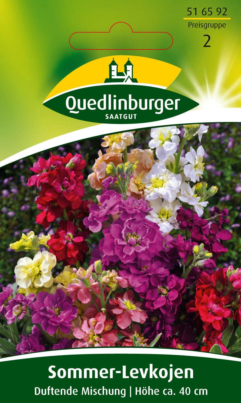 Sommer-Levkojen Frühe hohe Mischung