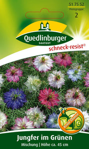 Jungfer im Grünen Mischung