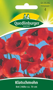 Klatsch-Mohn Rot