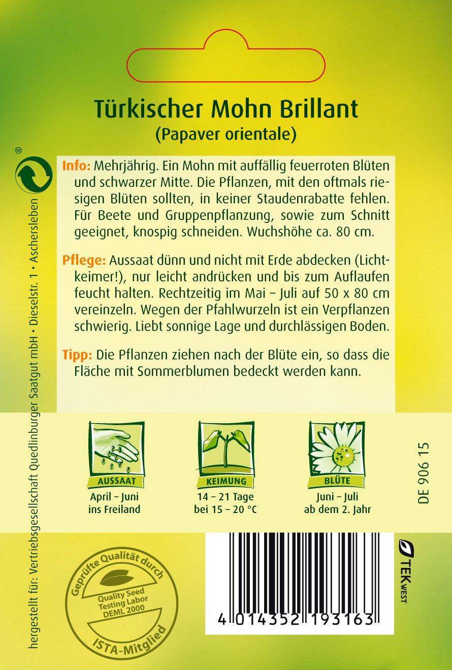 Türkischer Mohn Brilliant