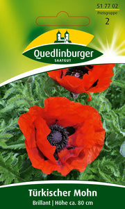 Türkischer Mohn Brilliant