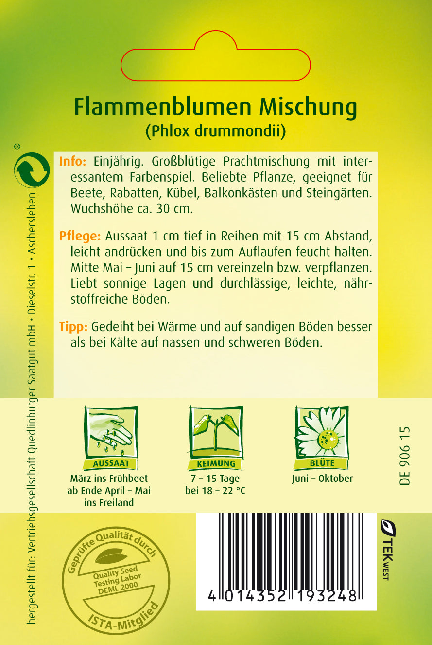 Flammenblume Phlox Mischung