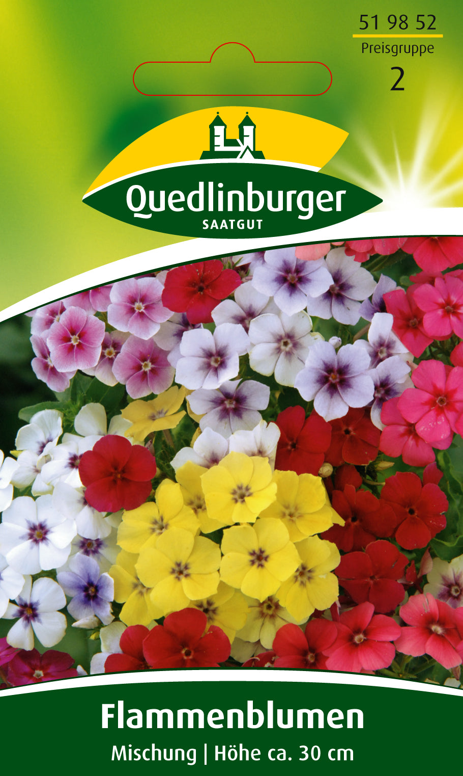 Flammenblume Phlox Mischung