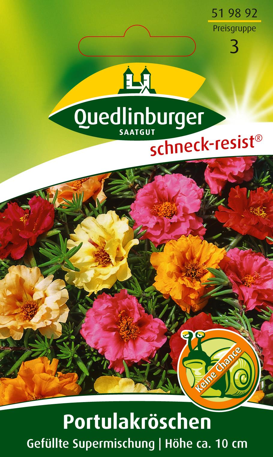 Portulakröschen Gefüllte