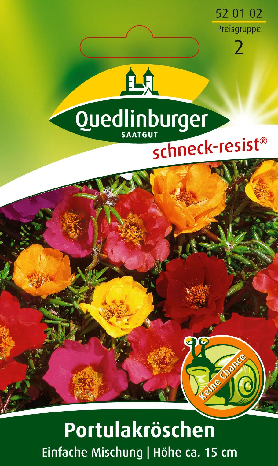 Portulakröschen Einfachblühend