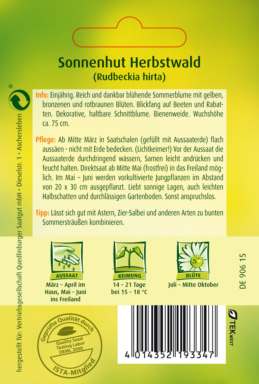 Sonnenhut Herbstwald