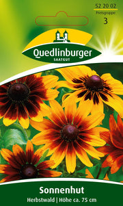 Sonnenhut Herbstwald