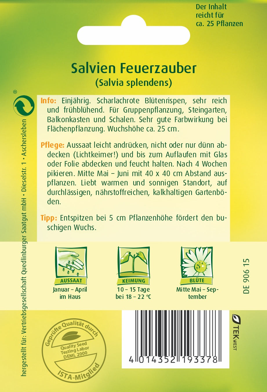 Salvie Feuerzauber
