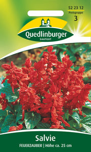 Salvie Feuerzauber