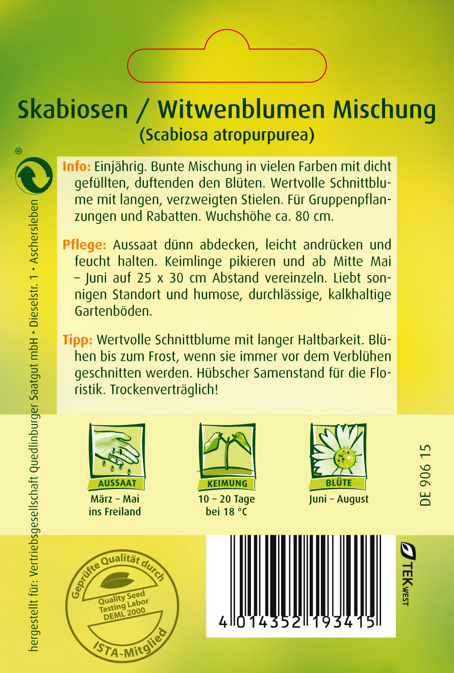 Skabiosen Witwenblume