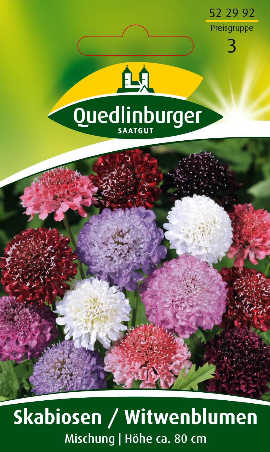 Skabiosen Witwenblume