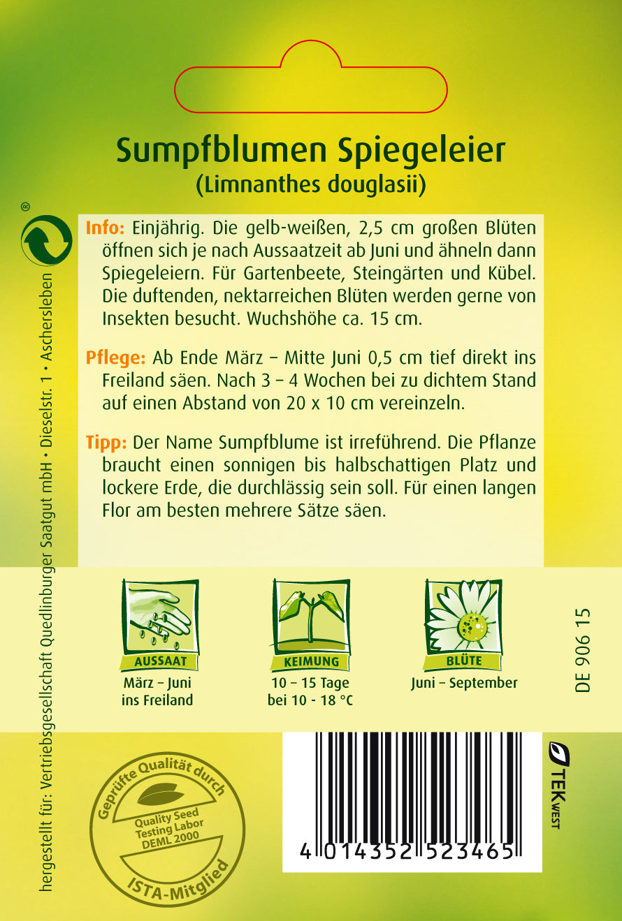 Sumpfblume Spiegeleier