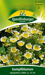 Sumpfblume Spiegeleier