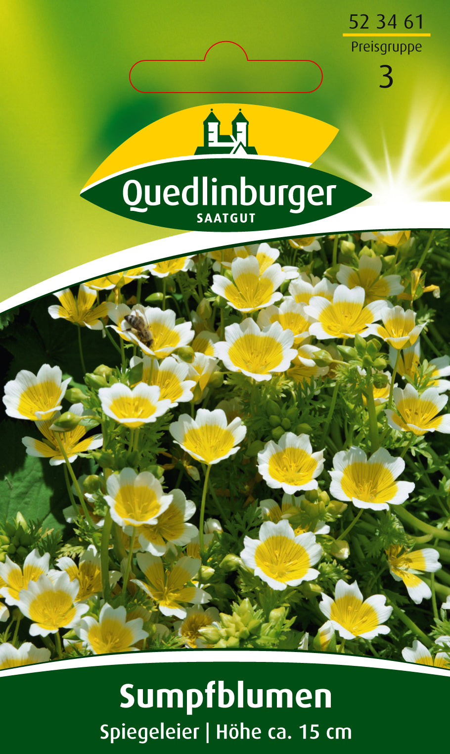 Sumpfblume Spiegeleier