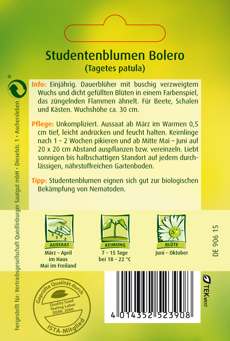 Studentenblumen Bolero